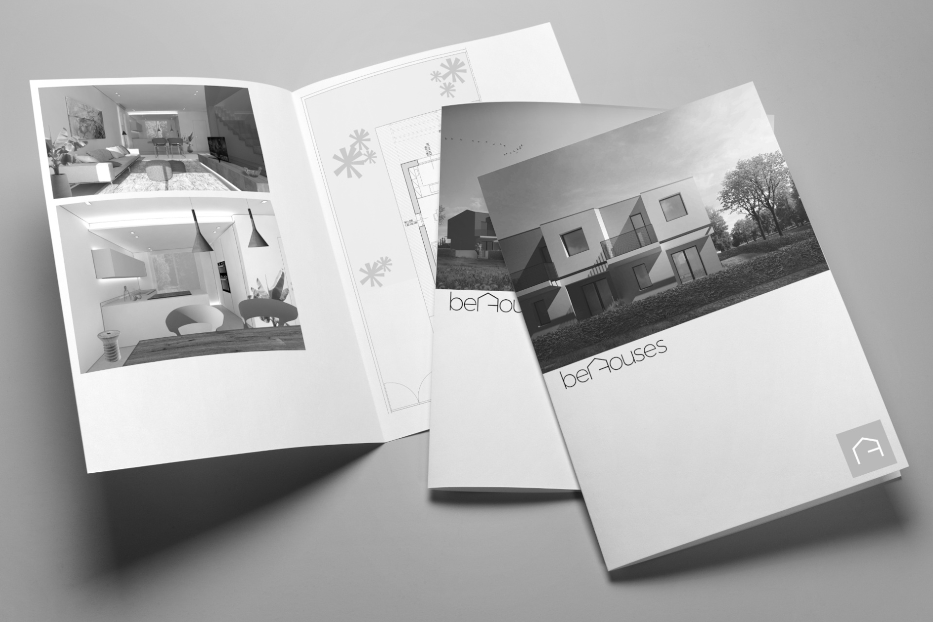 Deline - brochure